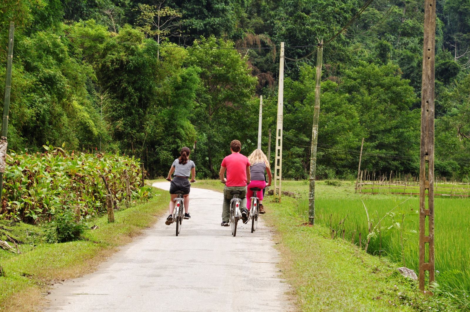 Du lịch Hồ Ba Bể dịch vụ nghỉ dưỡng CHẤT LƯỢNG CAO-đạp xe đạp