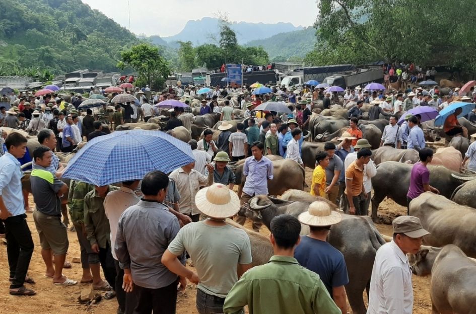 chợ bò nghiêm loan