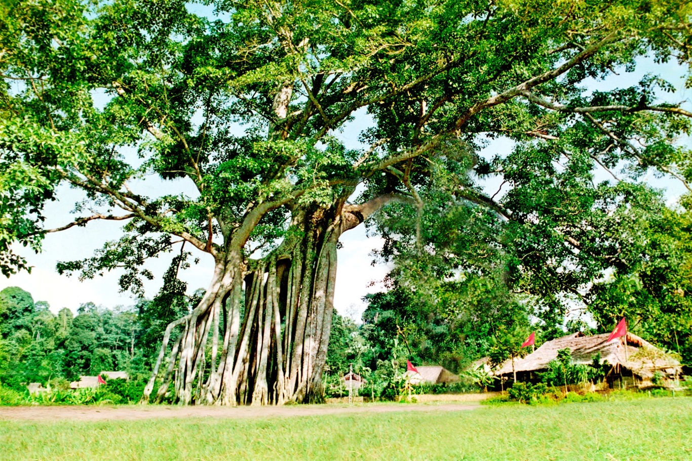 Du lỊch Hồ Ba Bể