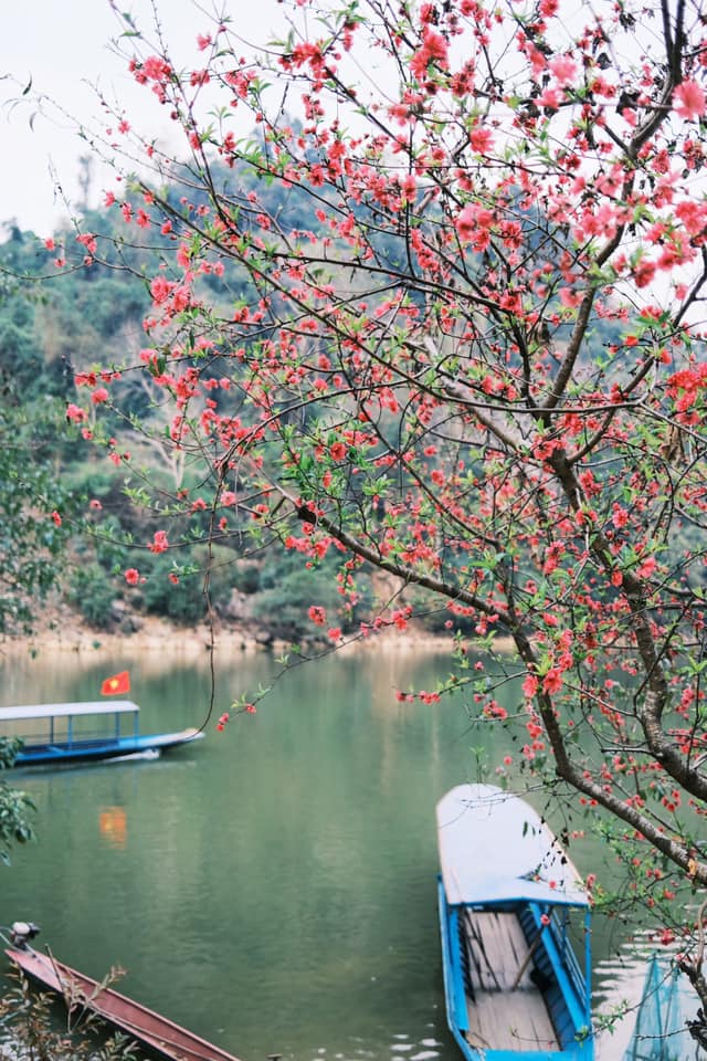 Du lịch hồ Ba Bể