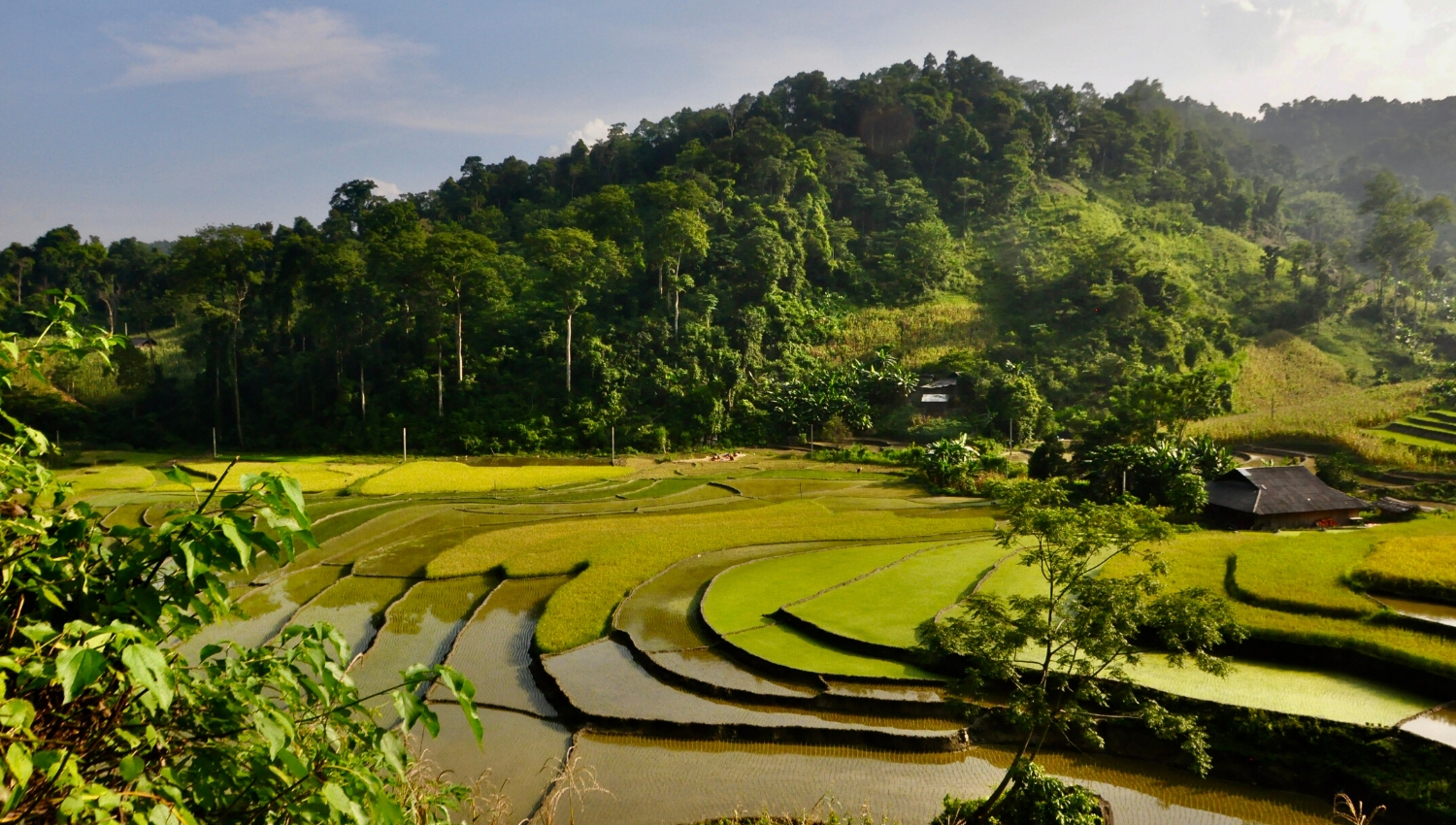 ruộng bậc thang hồ Ba Bể