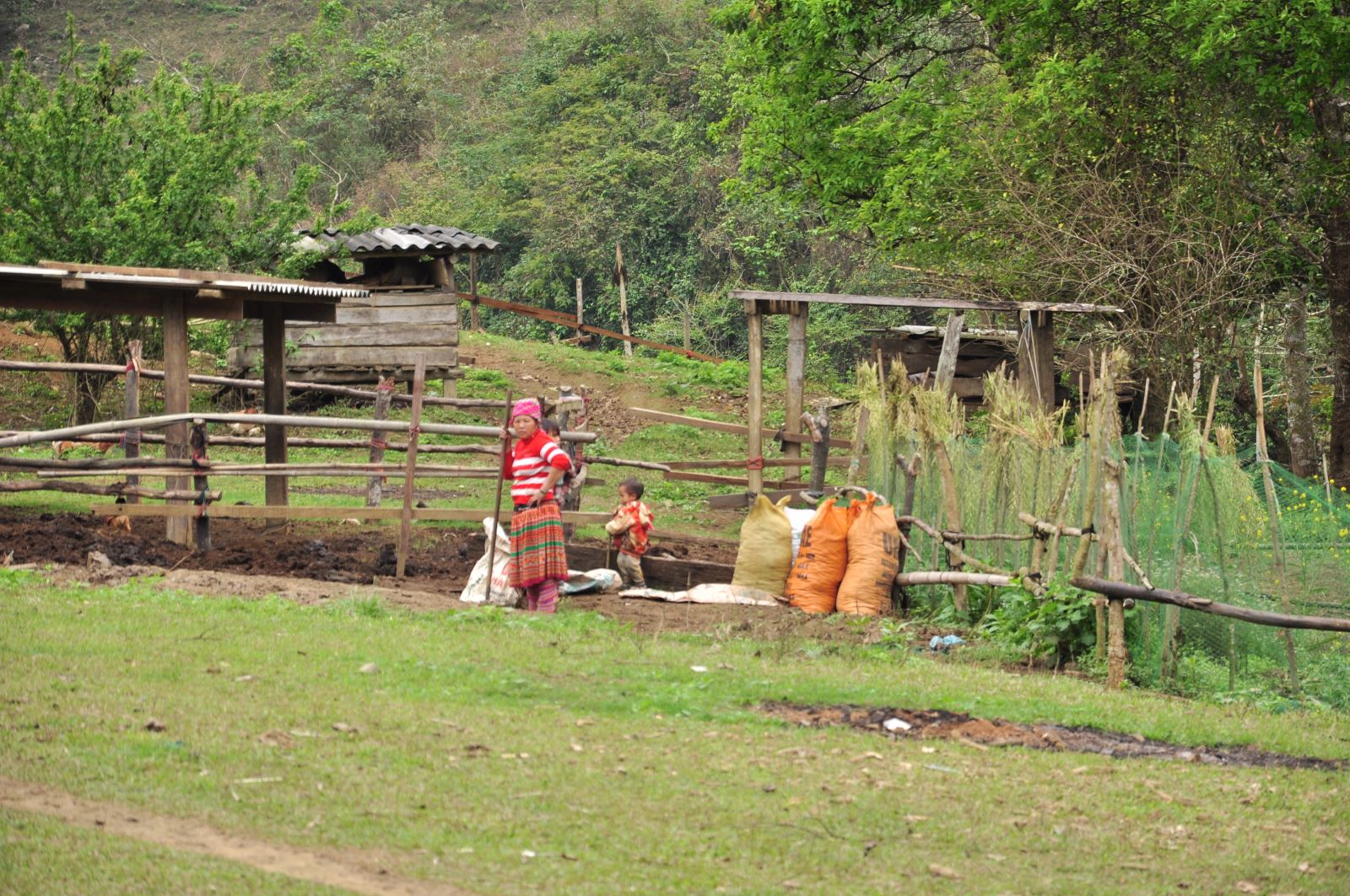 bản Hmong trên hồ Ba Bể