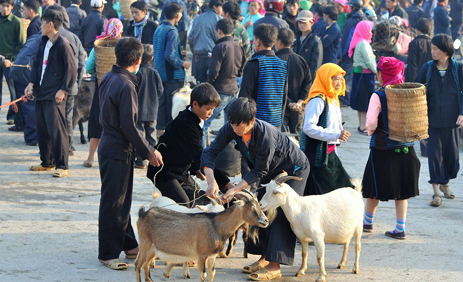 Chợ Hà Giang