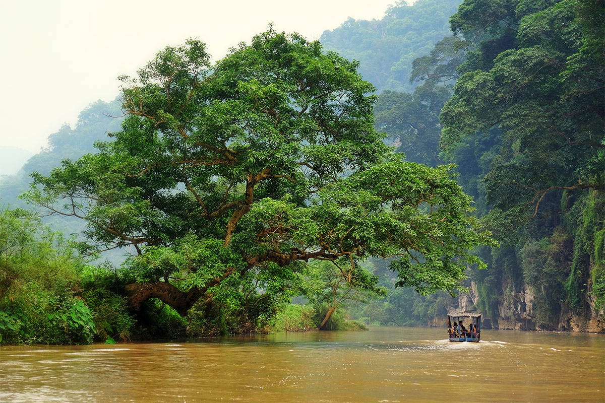 Tour du thuyền hồ Ba Bể