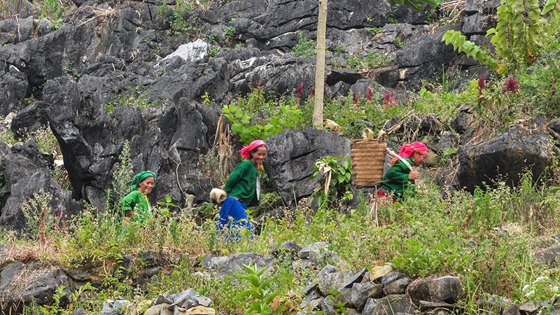 Tour vòng cung Đông Bắc - 5 ngày 4 đêm